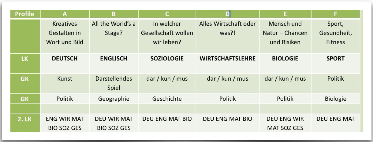 profilangebot Oberstufe